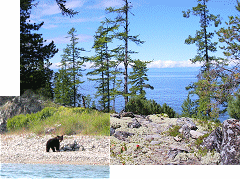 Baikal Boat Tours - to the north of lake Baikal