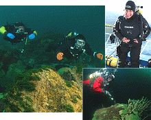Baikal diving tours
