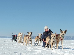 A regular stop to check the dogs during dog-sledding trip over lake Baikal