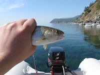 Fishing near Baikal river outlet