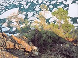 tour to the north of lake baikal