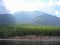 North-Western shore - Mountains covered with green taiga forest