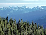 Helicopter tours in Siberia - Travel to Shumak